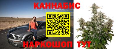 spice Владикавказ